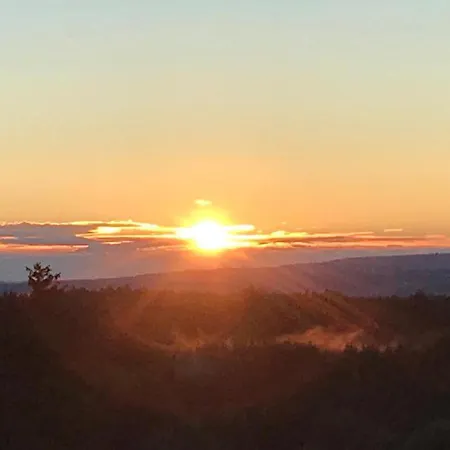 Wendelin's 볼페그