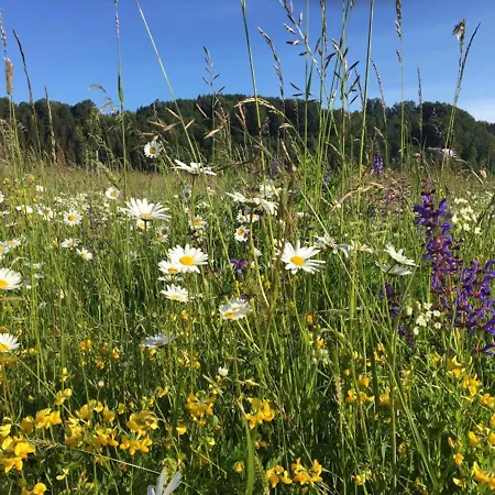 Apartment Wendelin`s *